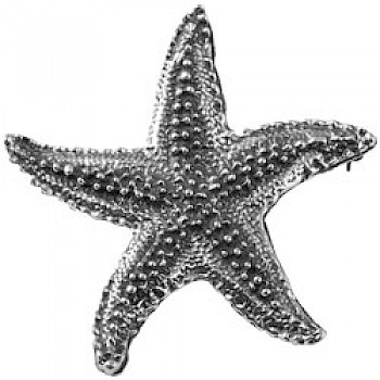 Large Starfish Brooch & Pendant - 50mm Wide